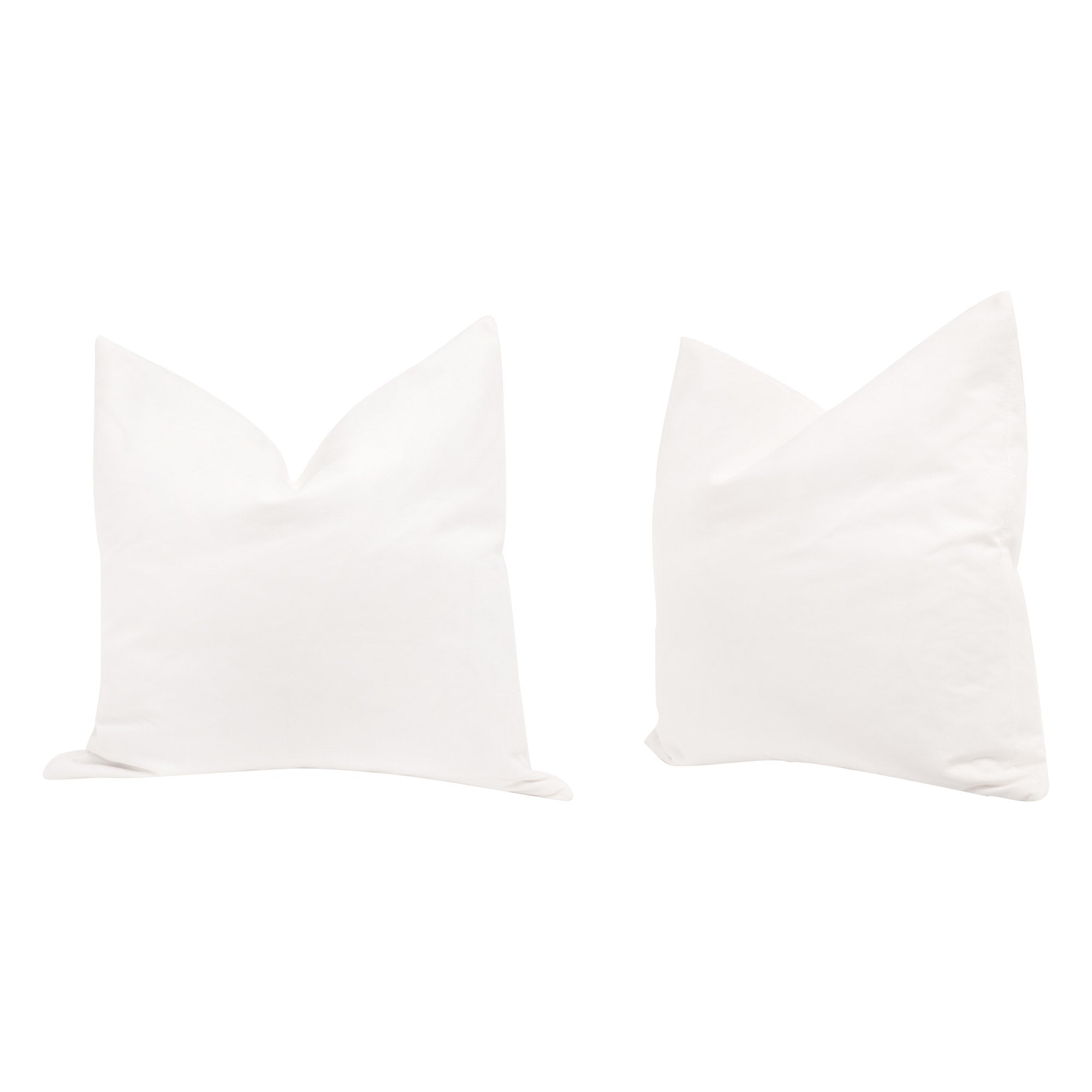 The Basic 22" Essential Pillow, Set of 2