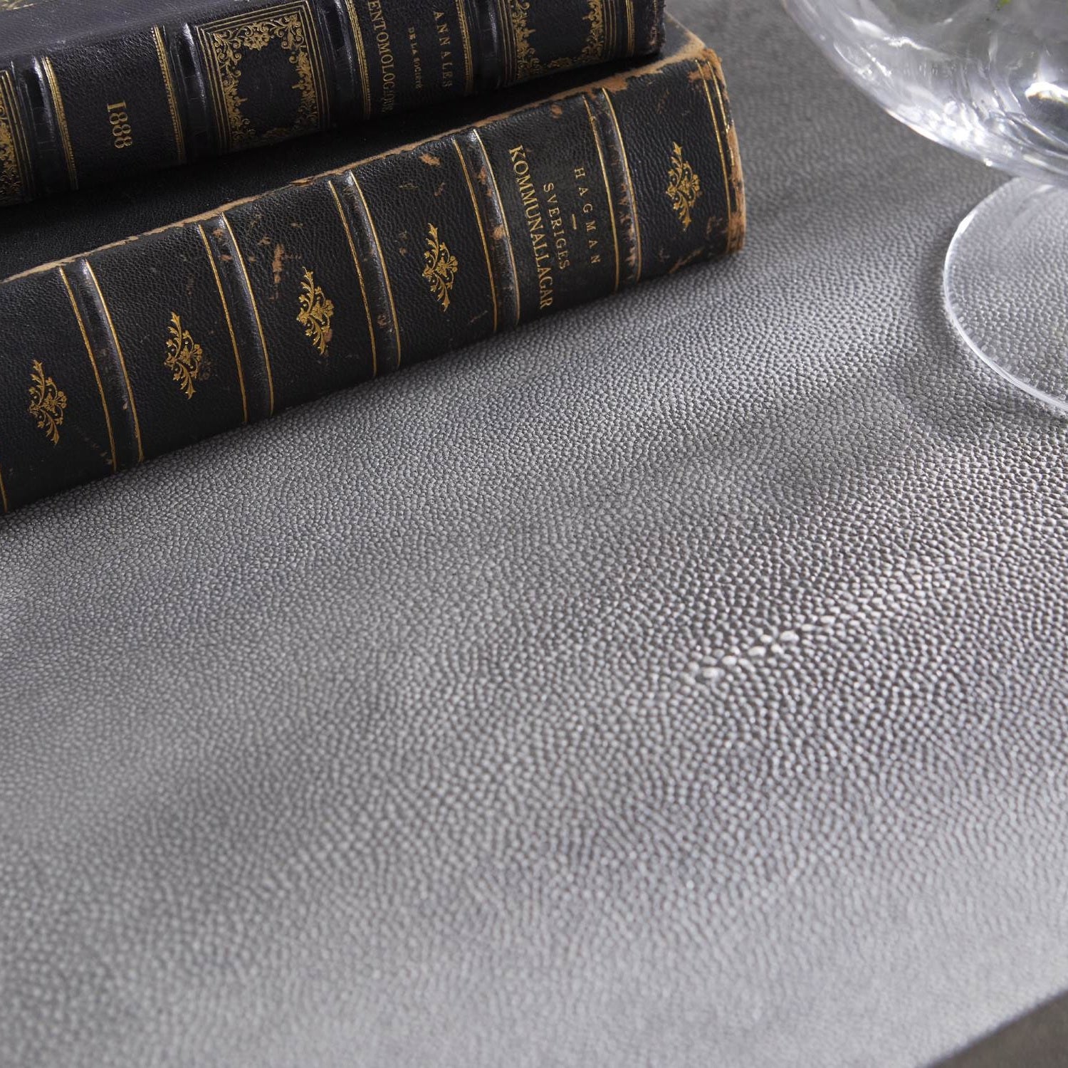 Close-up of pearl white faux shagreen textured surface with vintage books and glass on top