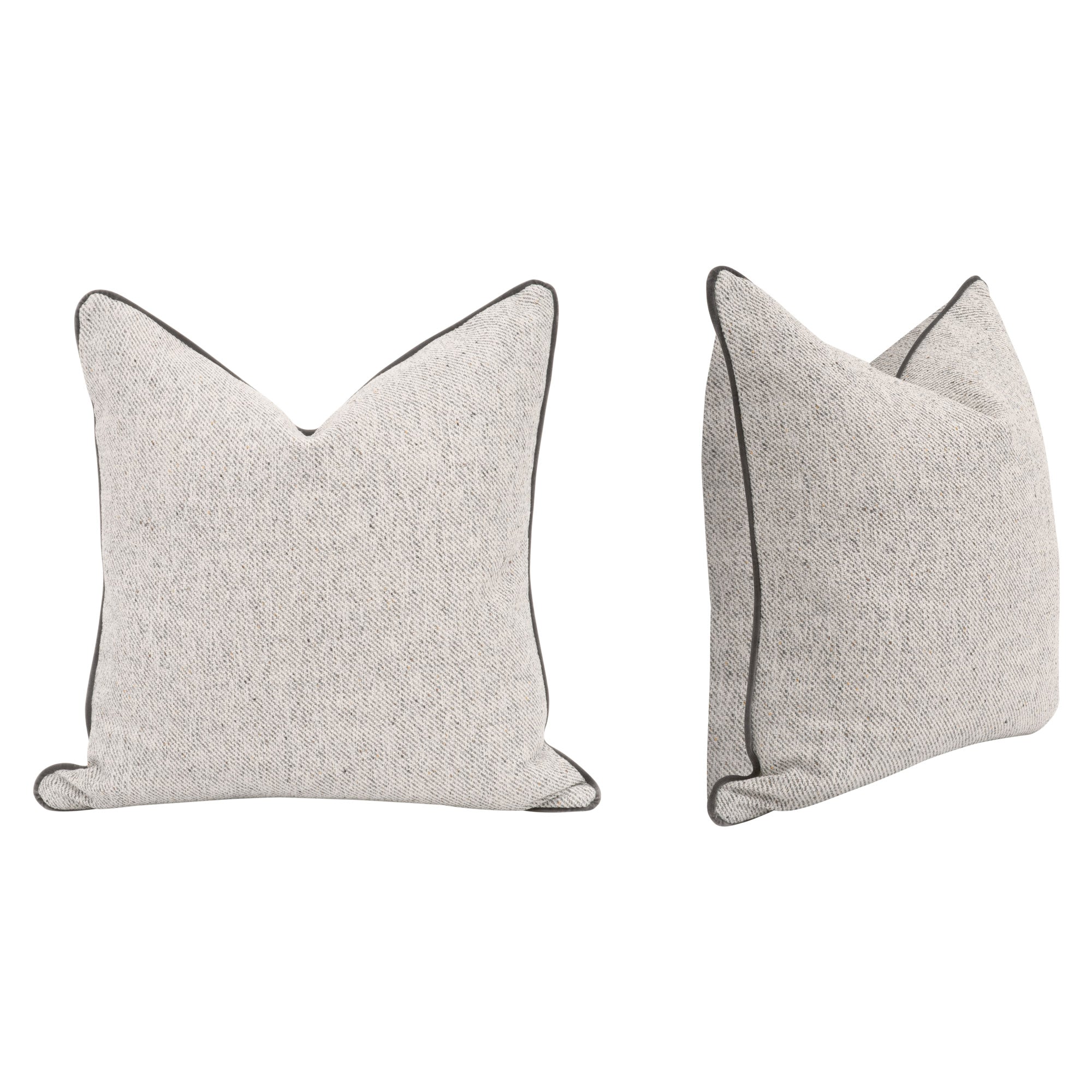 The Not So Basic 22" Essential Pillow, Set of 2